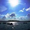 Boote auf dem Stechlinsee