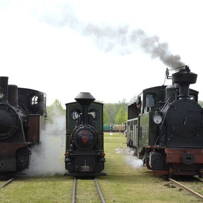 Parallelfahrt von drei Dampfloks zum Märkischen Feldbahnfest.