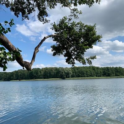 Weißer See Liebenberg